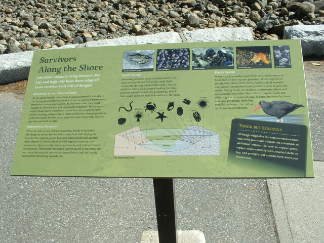 Stanley Park 13th view